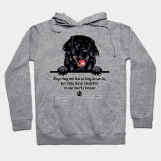 Dogs may not live as long as we do, but they leave pawprints  on our hearts forever Hoodie
